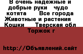 В очень надежные и добрые руки - чудо - котята!!! - Все города Животные и растения » Кошки   . Тверская обл.,Торжок г.